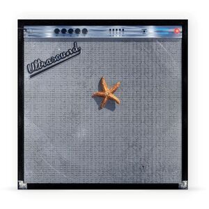 The Neighbourhood - (((((Ultrasound)))))+  LP LP